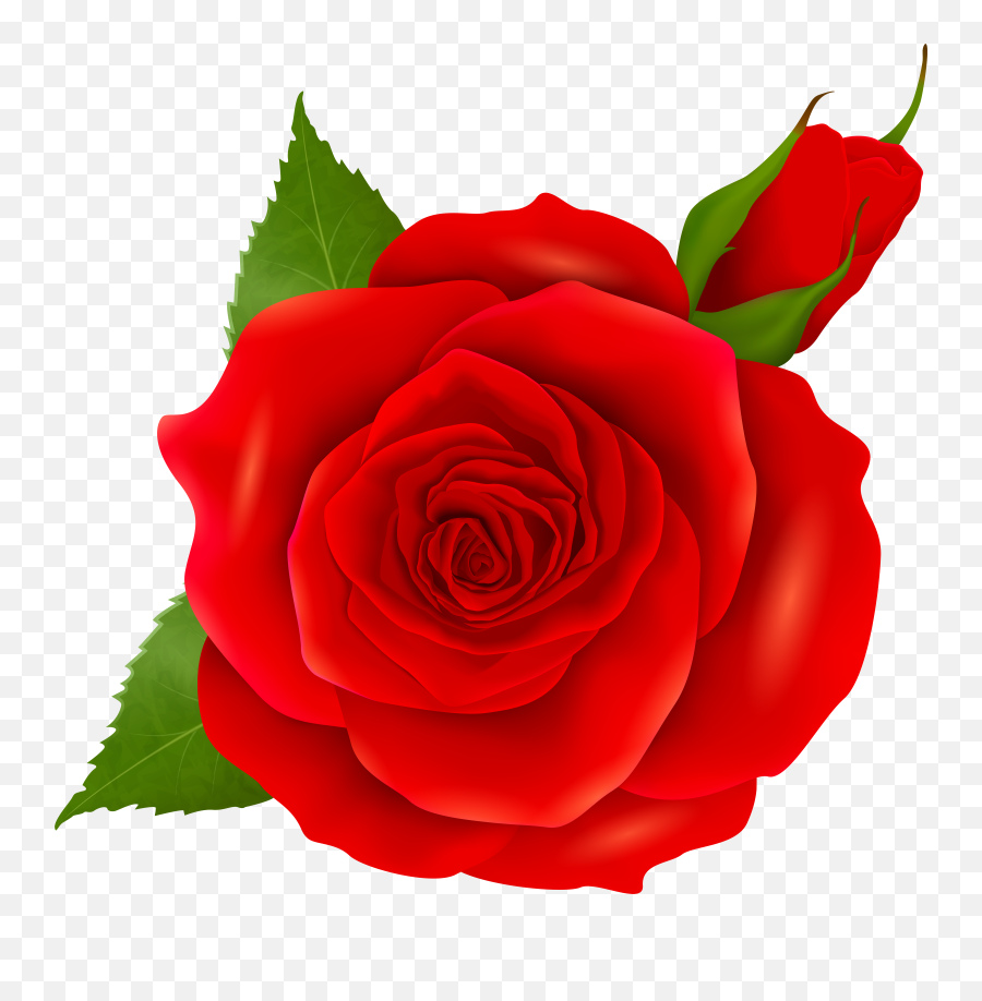 Red Rose And Bud Transparent Png Clip