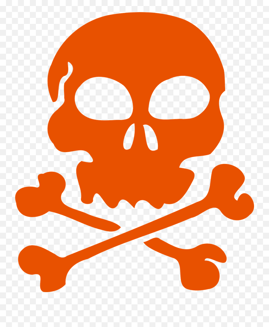 Francois L Olonnais Pirate Flag Png Skull And Bones