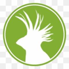 Home Amazonia Expeditions - Icon png