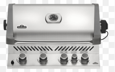 Orayfireplaces Stay Warm With Oray - Napoleon Grills Built In Prestige 500 Gas Grill Png,Heatilator Icon 100