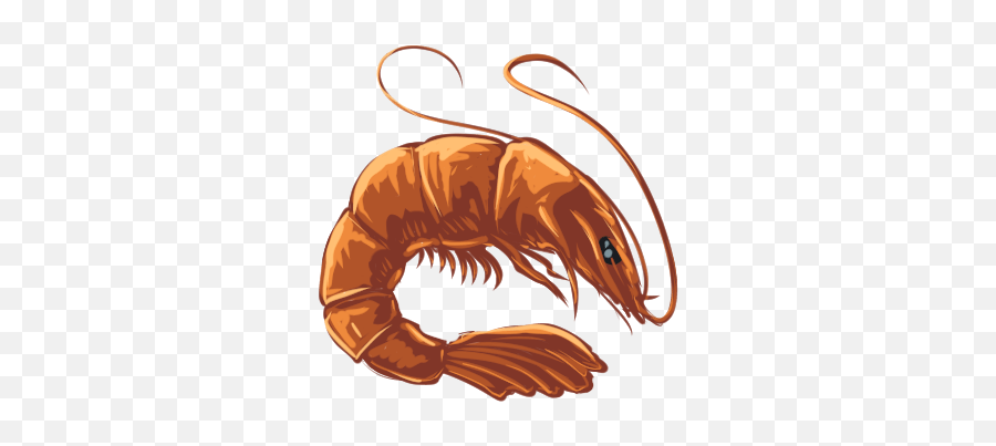 Raw Shrimp - Idlescape Wiki White Shrimp Png,Prawn Icon