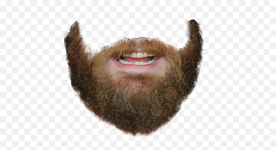 Download Transparent Beard Png - 5 O Clock Shadow Transparent,Beard Png