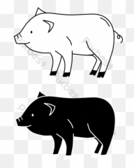 Black And White Drawing Poultry Pig Illustration Png - Animal Figure