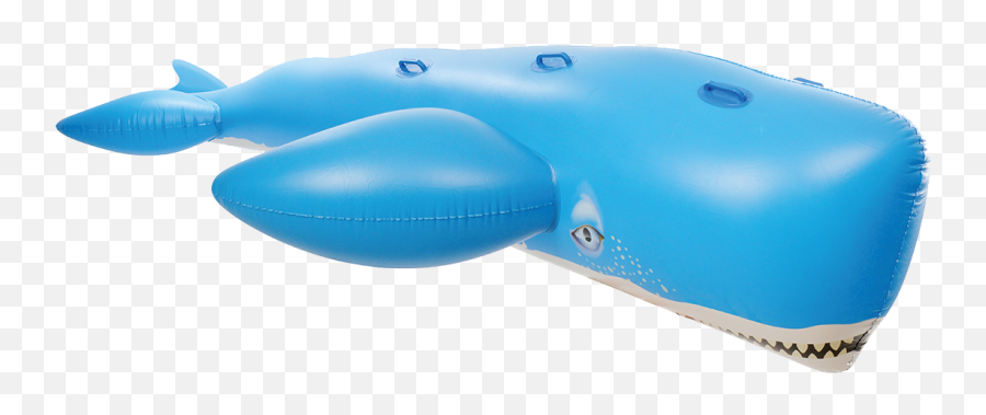 Kangaroo Giant Whale Ride - Whales Png,Pool Float Png