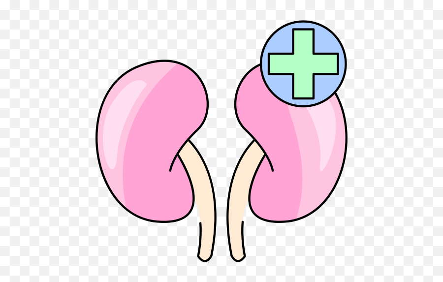 Kidney - Free Healthcare And Medical Icons Language Png,Kidney Icon