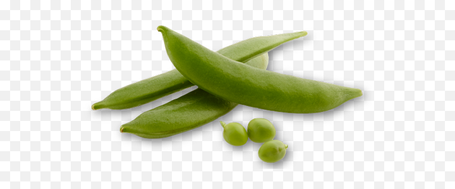 Specialty Produce - Auerpak Snap Pea Png,Peas Png