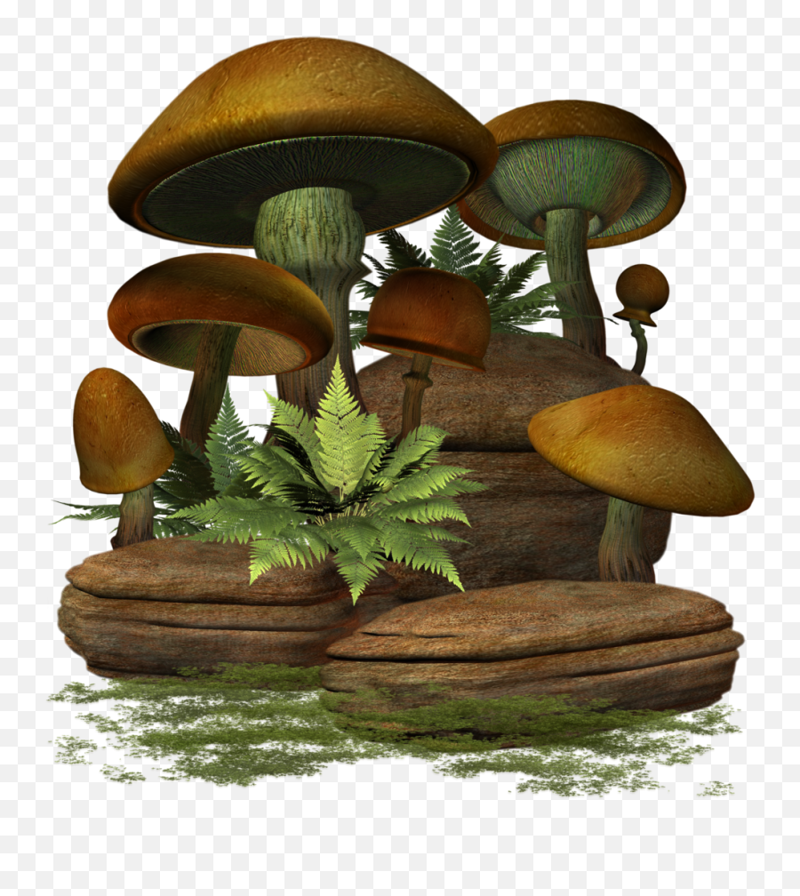 Mushroom Png Mart - Mushroom,Mushroom Png