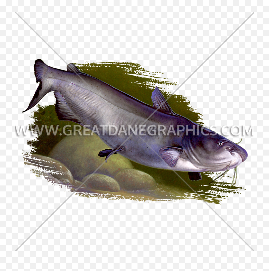 Channel Catfish Production Ready Artwork For T - Shirt Printing Channel Catfish Png,Catfish Png