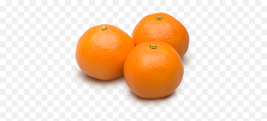 Clementine Png 4 Image - Clementines Png,Clementine Png