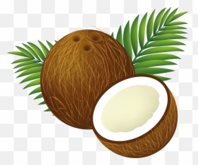 Coconut Png Image - Transparent Background Coconut Clipart,Coconut Png