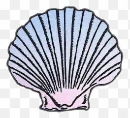 Download Hd Transparent Sea Shell Clip Art Png - Shell Clip Art,Blue Shell Png