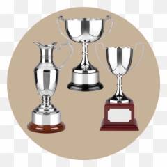 Download Hd Silver Cups U0026 Trophies - Swatkins Nickel Plated Trophy png