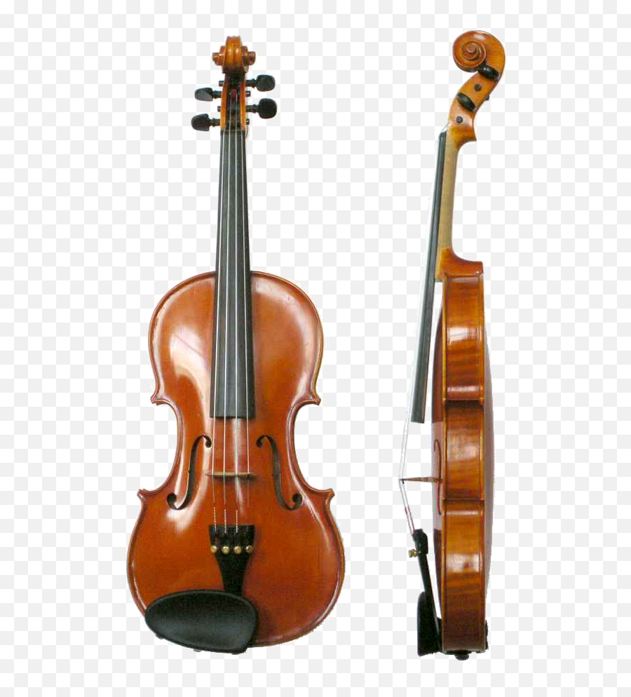 Violin - Anatomy Of The Violin Png,Viola Png