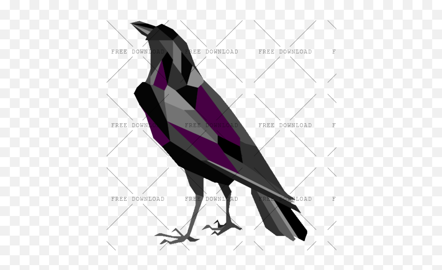 Crow Bird Png Image With Transparent Background - Photo 758,Penguin Transparent Background