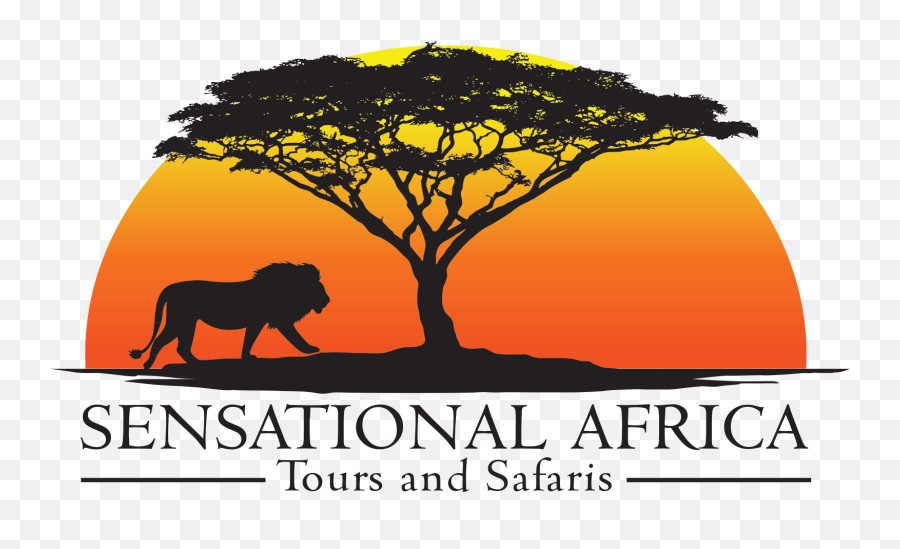 The Specialist In African Tours U0026 Safaris From Australia - Tours And Safaris Logo Png,African Tree Png