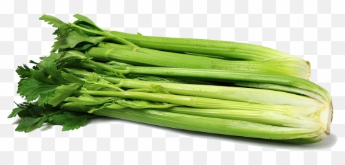 Download Celery Png Clipart 098 - Celery Clipart Transparent,Celery Png