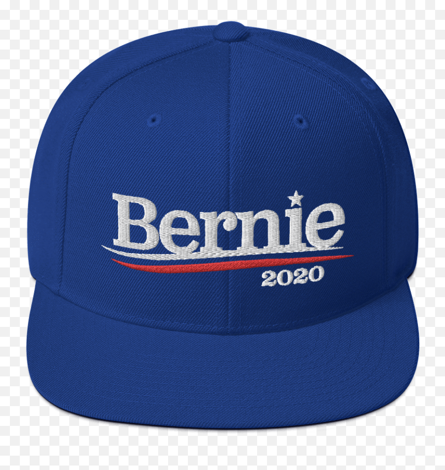 Bernie Sanders 2020 Snapback Hat - Please Be Patient I Have Autism Png,Bernie Png