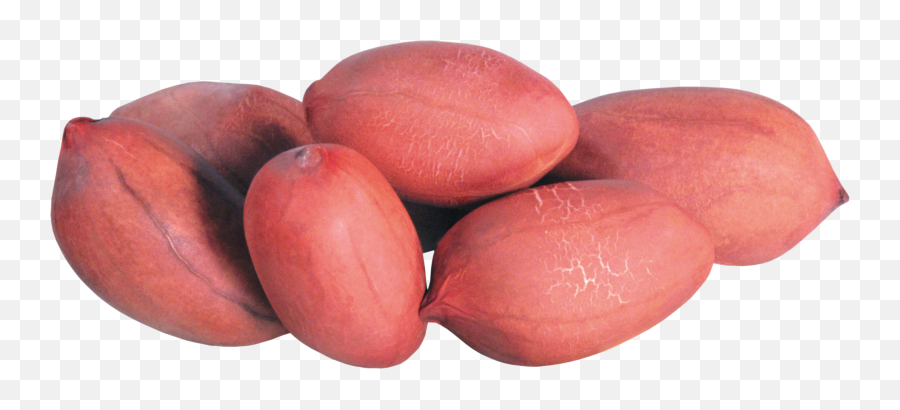 Peanut Png Photo Image - Ground Nut Png,Peanut Png