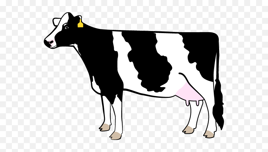Download Free Dairy Cow Silhouette Png - Holstein Friesian Cow Cartoon,Cow  Clipart Png - free transparent png images 