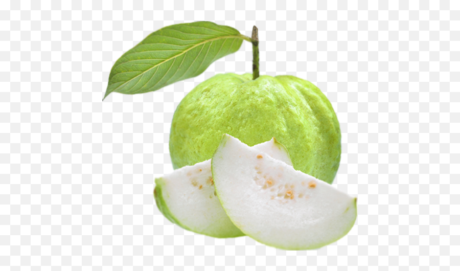 Mangalam Agro Farms - White Guava Png,Guava Png