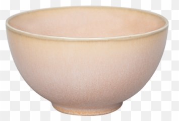 Er - Go 14cm Cereal Bowl Rose Bowl Png,Bowl Of Cereal Png