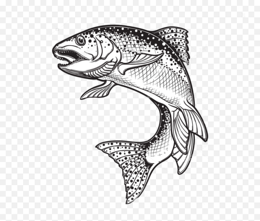 Rainbow Trout Drawing Png Free - Realistic Fish Jumping Drawing,Trout Png