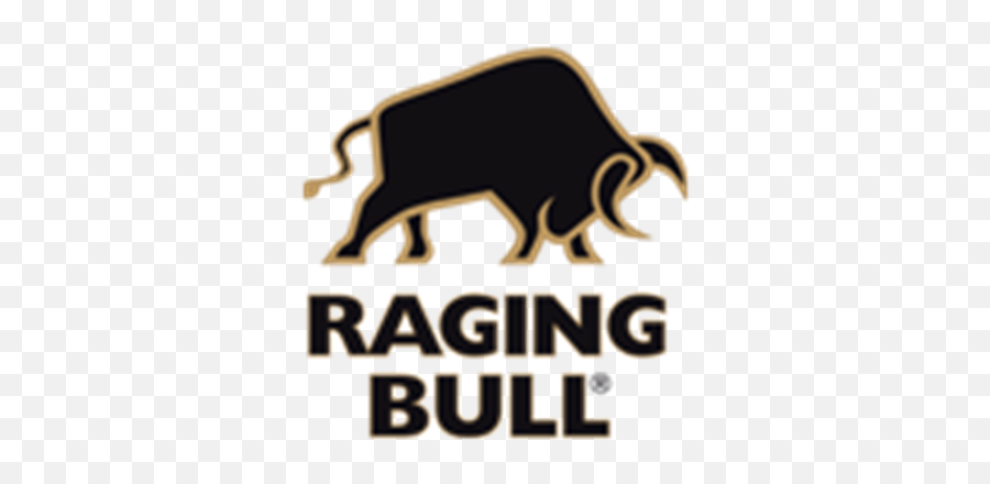 Raging - Raging Bull Clothing Logo Png,Bull Logo Png