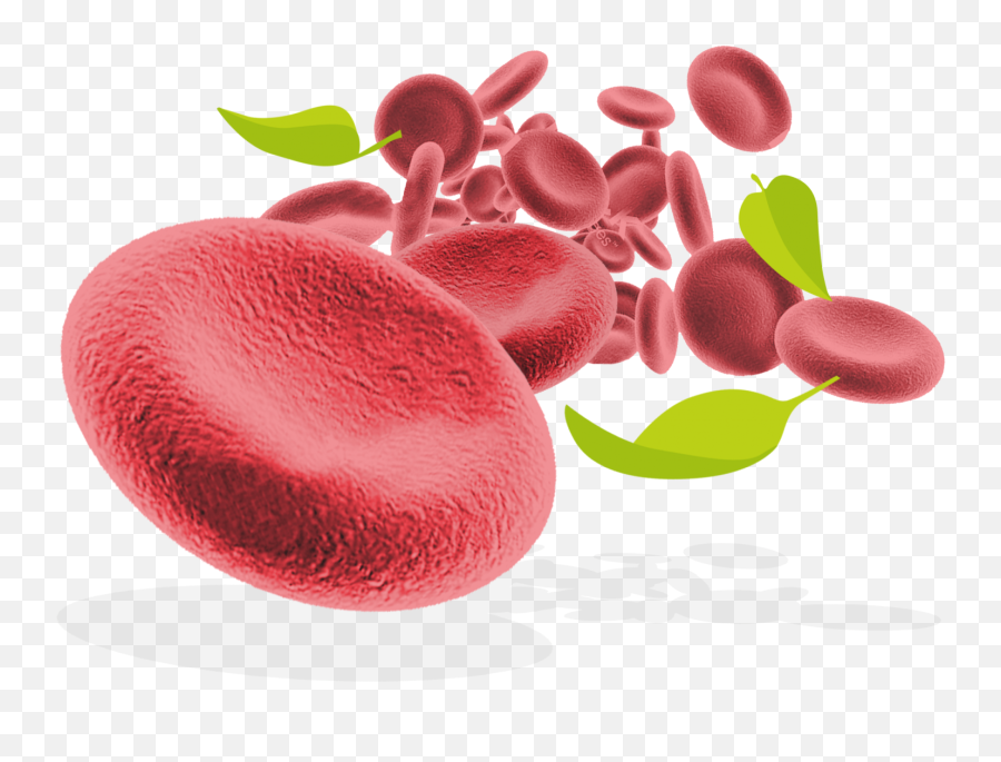 Download Red Blood Cells And Leaves - Red Blood Cell Png,Cell Png