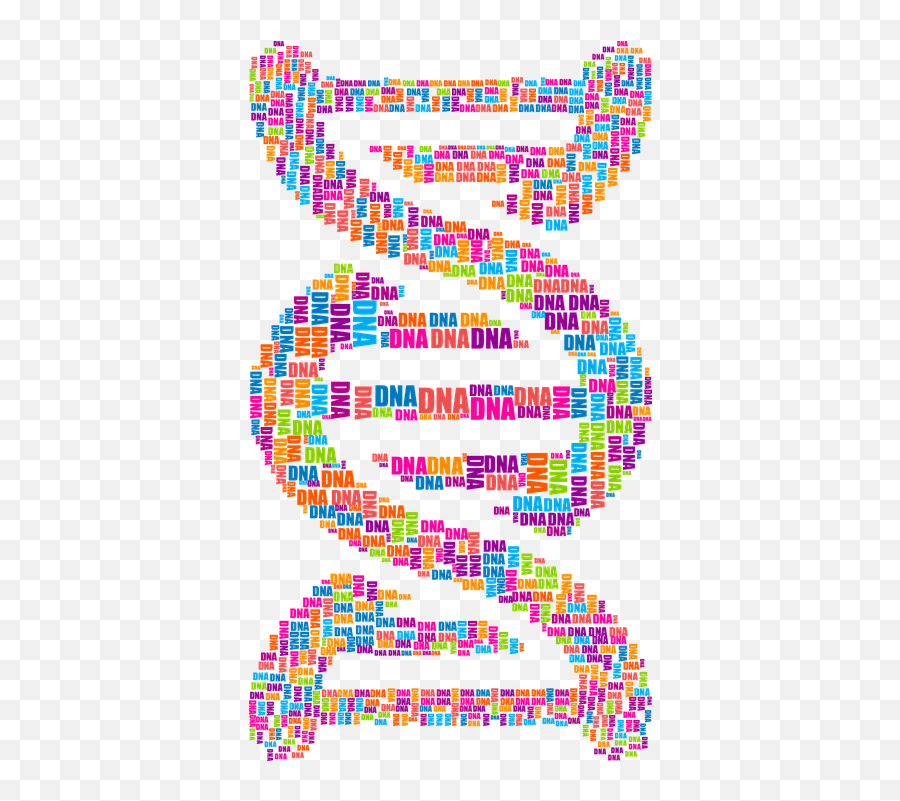 Preprogramming Of Language Your Ability Is Stored - Dna Word Cloud Png,Language Png