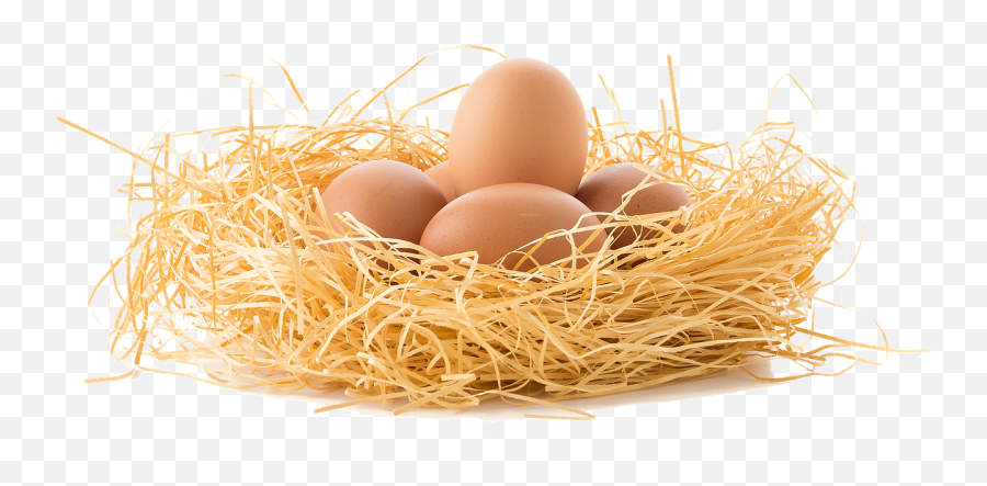 Download Brown Eggs Png Nest