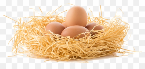 Download Brown Eggs Png Nest