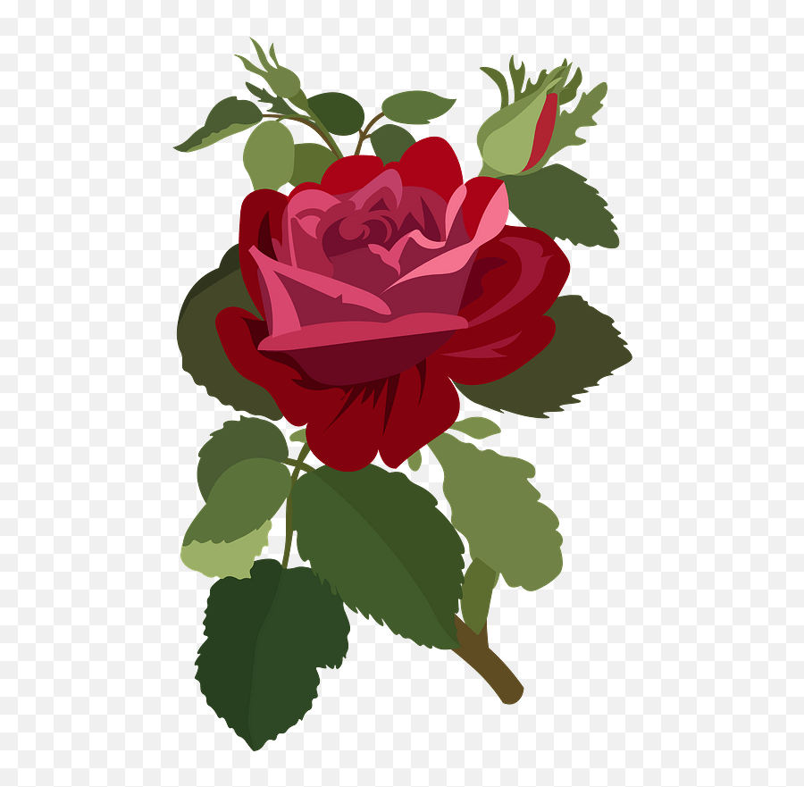 Rose Flower Clipart - Floral Png,Rose Transparent Png