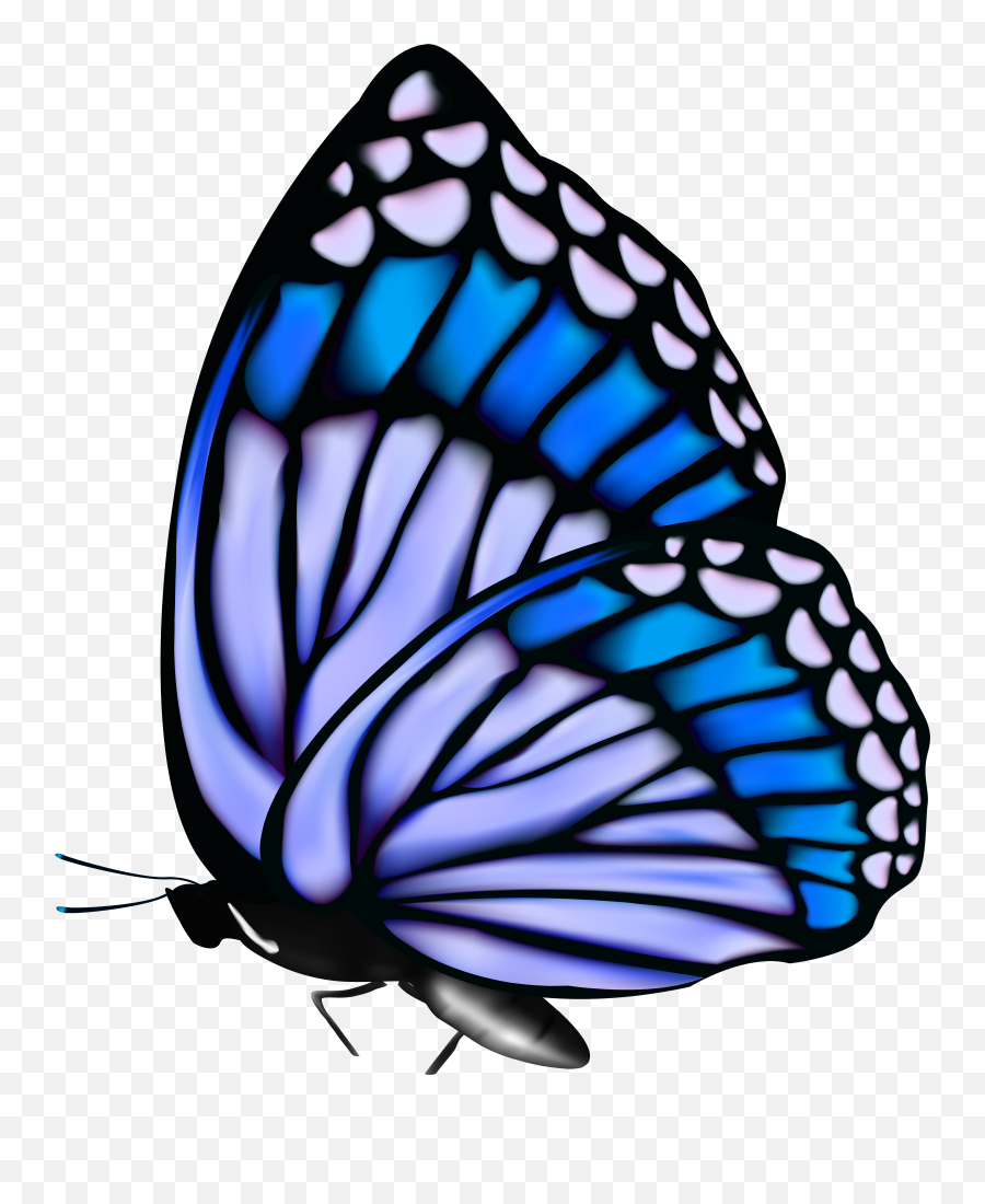 Butterflies Png Butterfly - Transparent Butterfly Gif Download,Png Butterfly