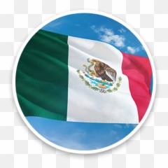 Home Ring Recycle Me - Flagpole png