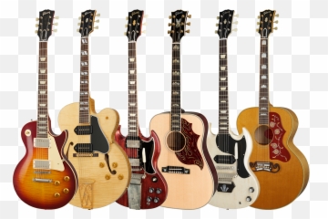 Gibson Signature Series Instrument Case Calton Cases - Solid png