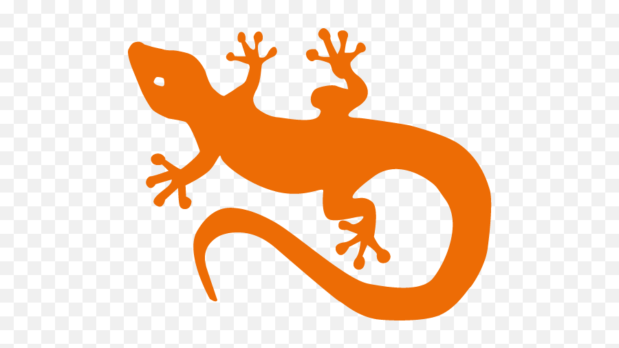 Gecko Png