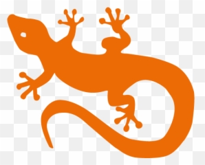 Gecko Png