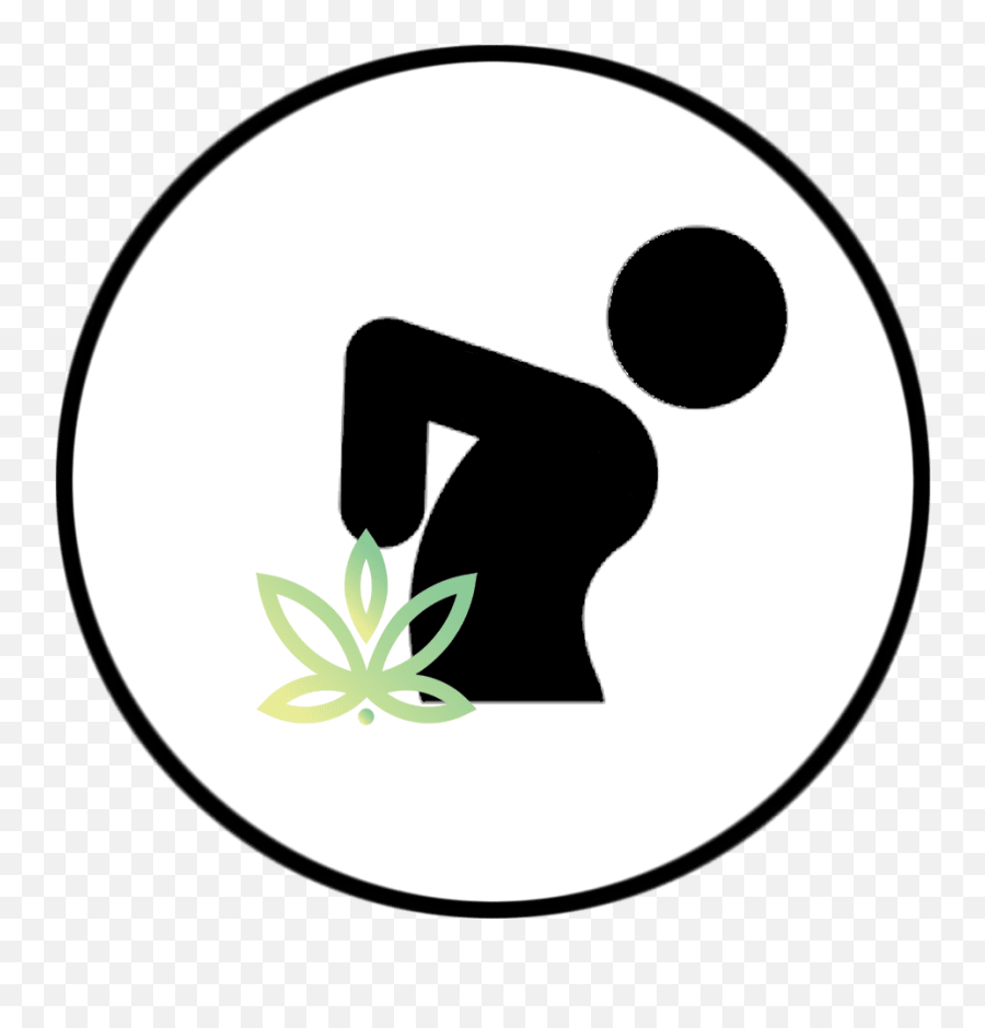 Back Pain - New Hampshire Seacoast Newington Nh U0026 Nashua Hemp Png,Back Pain Icon