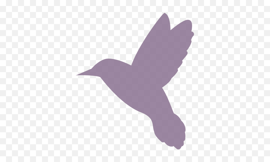 Aurapsychic Psychic Intuitive U0026 Holistic Life Coach - Passerine Png,Psychic Icon