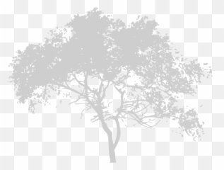 Host An International Scholar - ASLE Full png