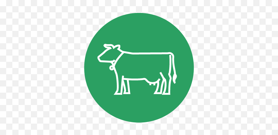 Feed U0026 Nirs Analysis - Ward Laboratories Inc Animal Figure Png,Animal Feed Icon