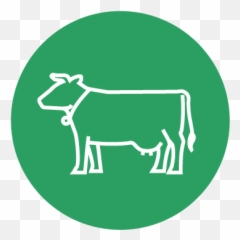 Feed U0026 Nirs Analysis - Ward Laboratories Inc Animal Figure png