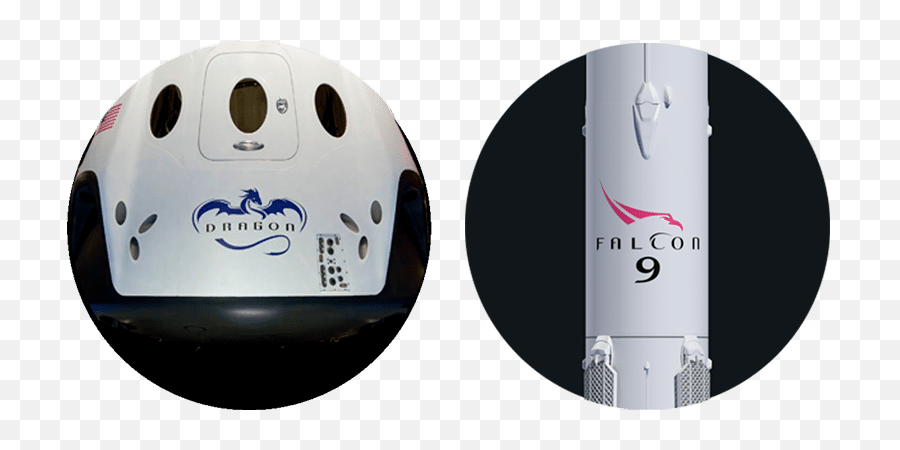 Download Spacex Dragon And Falcon Logos - Spacex Dragon Logo De Spacex Png,Spacex Png