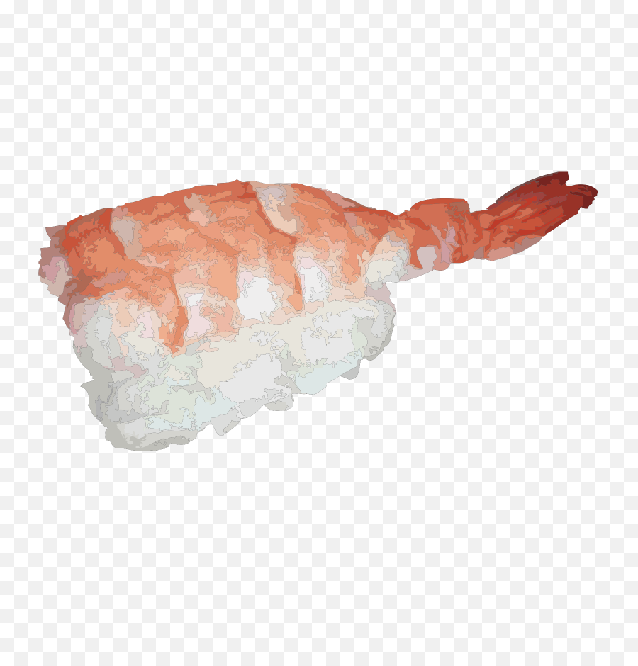 Japanese Sushi Asian - Free Vector Graphic On Pixabay Ebi Sushi Png,Shrimp Png