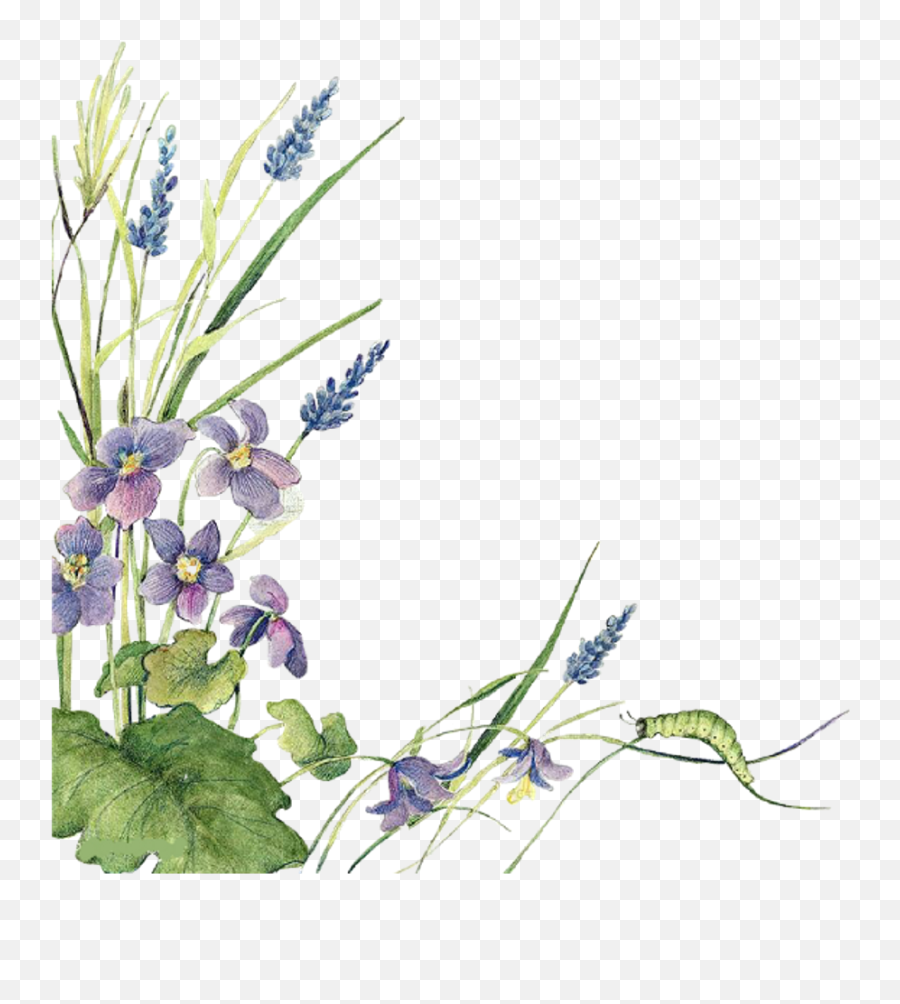 Ftestickers Watercolor Flowers Border Lavender - Border Transparent Lavender Plant Png,Flower Border Png