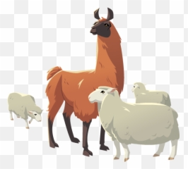 Llama Animal Png - Llama,Llama Png