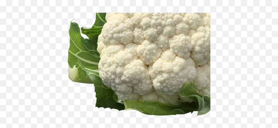 Download Beets - Cauliflower Full Size Png Image Pngkit Cauliflower,Cauliflower Png