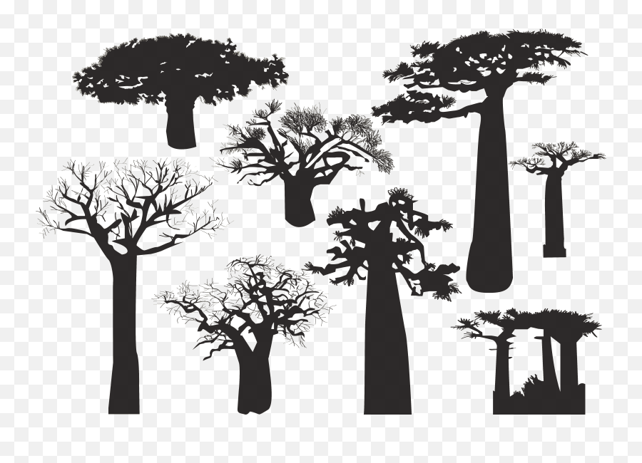 Baobab Tree Silhouette - Desert Dead Tre 1275106 Png Baobab Tree Silhouette Png,Dead Tree Png