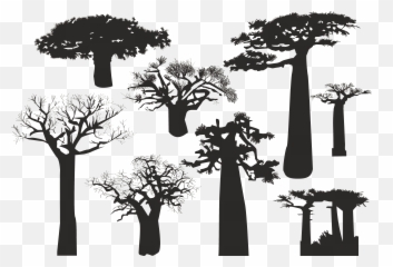 Baobab Tree Silhouette - Desert Dead 1275106 PNG Png