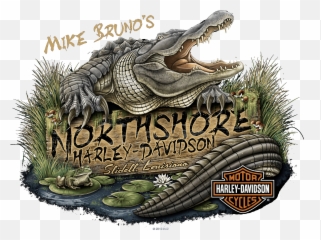Mike Brunou0027s Northshore Harley - Davidson Slidell LA New png